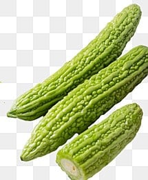 Bitter Gourd white