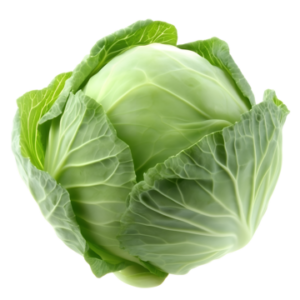 Cabbage