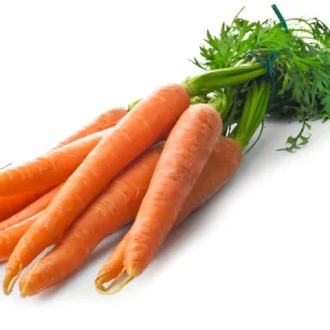 Carrot