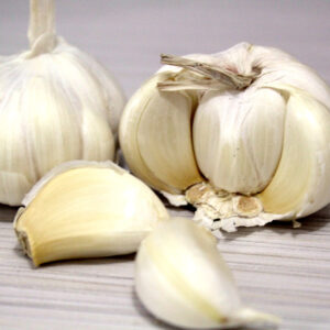 garlic