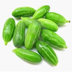 Ivy Gourd