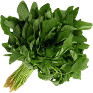 Amaranthus