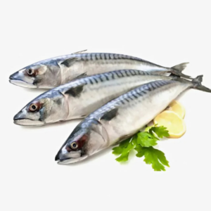 Fish