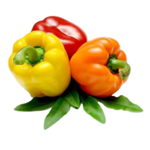 Exotic Simla Mirch 500 Gm